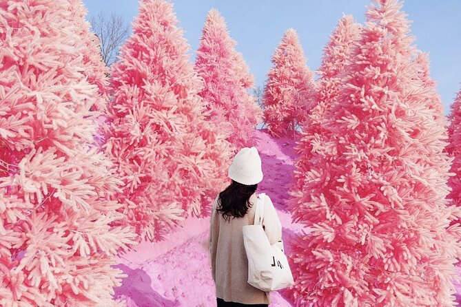 Seasonal Pocheon Full Day Tour With Apple Farm Experience - Tour Capacity