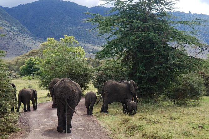 Serengeti 3-Park; 5-Day Safari - Booking and Reservation Process