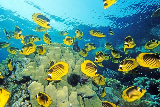 Sharm El Naga Full-Day Snorkeling Tour From Hurghada - Booking Information