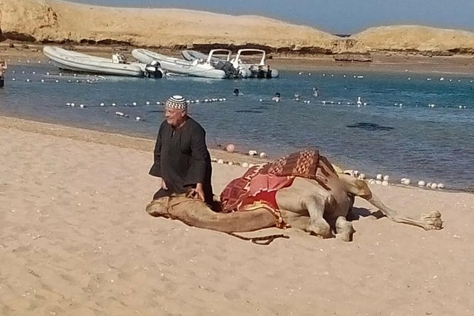 Sharm El Naga National Park Water Turtle House Full Day Snorkeling Trip-Hurghada - The Sum Up