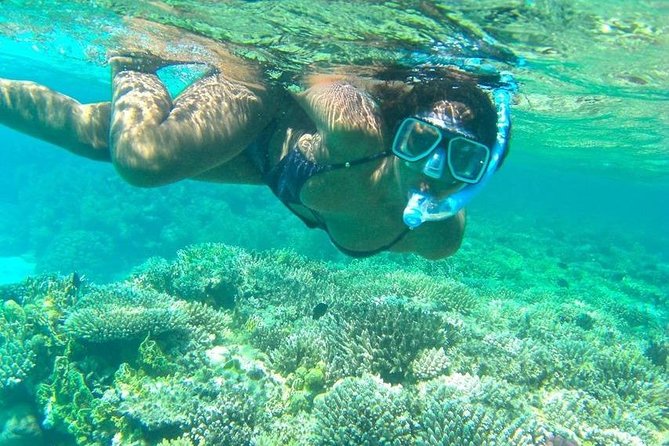 Sharm : Full Day Snorkeling Tour to Ras Mohamed & White Island With Lunch - Pricing Details