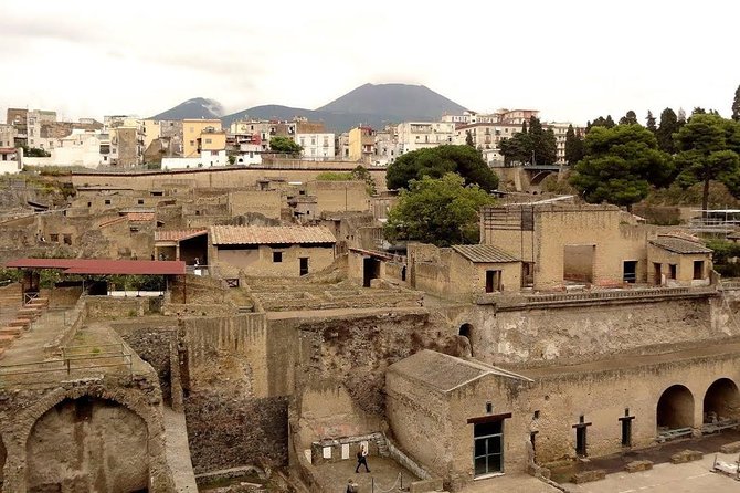 Shore Excursion to the Excavations of Herculaneum (2 Hours) - Additional Tips for Visitors