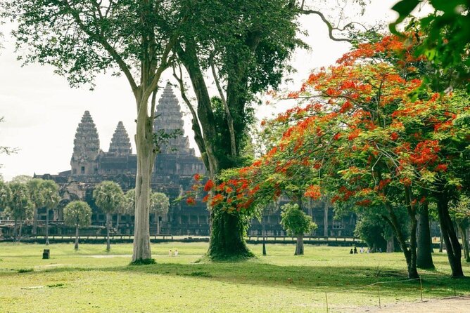 Siem Reap: Local French Speaking Guide for Angkor Wat Day Tour - Experienced Guide