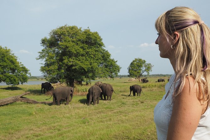 Sigiriya Rock and Wild Elephant Safari From Kandy - Pickup and Meeting Points