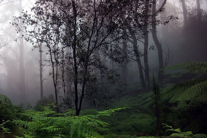 Sinharaja Rain Forest Tour From Hambantota - Cancellation Policy