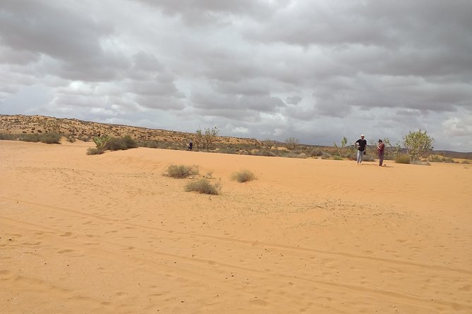 Small Desert Tour - National Park -Tiznit Imperial City - Expectations and Requirements