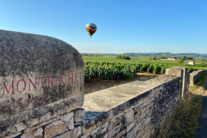 Small Group Wine Tasting Tour Côte De Beaune and Côte De Nuits - The Sum Up