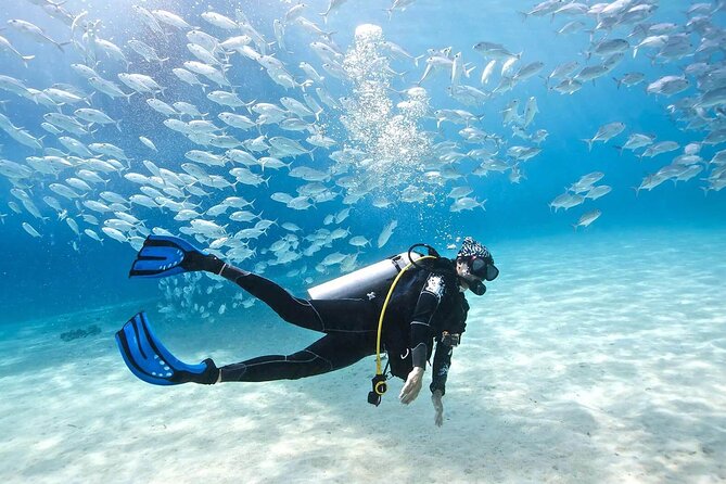 Snorkeling Day Trip in Sharm El Naga National Park and Lunch - Important Reminders