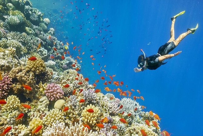 Snorkeling Sea Excursion to Paradise Island in Hurghada - Gear and Equipment Included