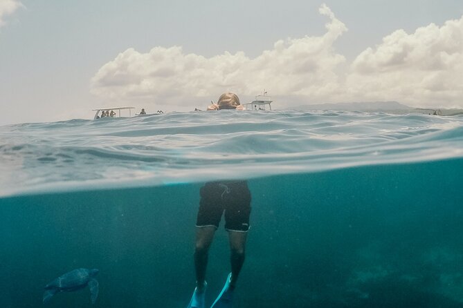 Snorkeling Trip to Giftun Island - What To Expect