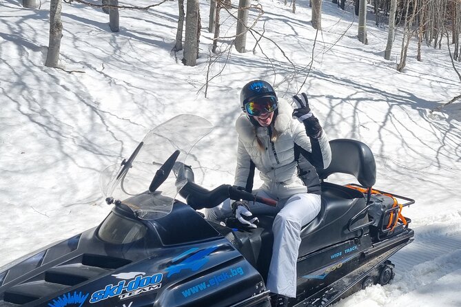 Snowmobile Tours Next to Sofia in Petrohan Pass - Pricing Information