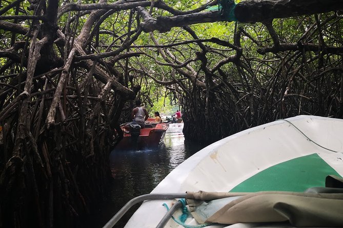Southern Coast Highlights and River Safari From Beruwala - Memorable Moments and Photo Opportunities