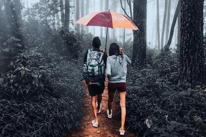 Sri Lanka Honeymoon Tour Package (12 Days , 11 Nights) Oll Including - Exclusions