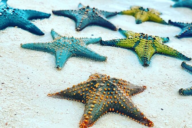 Starfish Adventure; Blue Lagoon Snorkeling; The Rock; Paje Beach; Kuza Cave Tour - Frequently Asked Questions