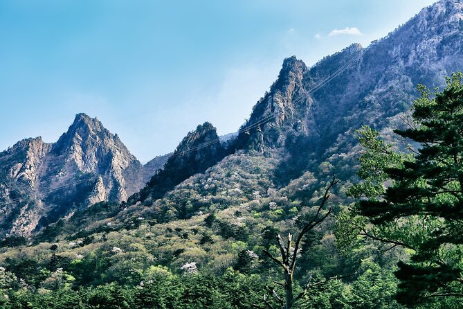 Summer Season Round Trip for Seorak Mountain and Surfy Beach - Additional Details and Disclaimer
