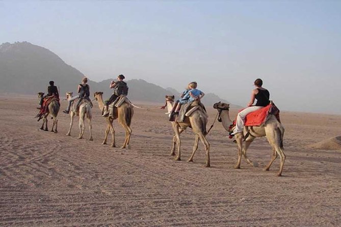 Sunset Desert Quad Bike Safari With Camel Ride and Bedouin Dinner From Hurghada - Additional Information
