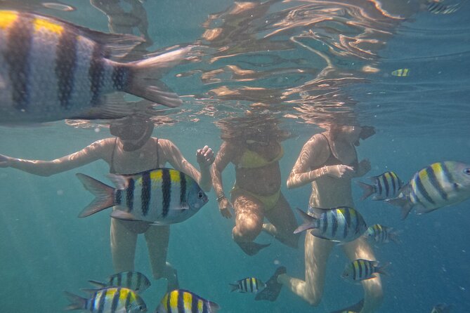 Sunset Snorkeling With Picture & Video in Gili Meno Turtle - The Sum Up
