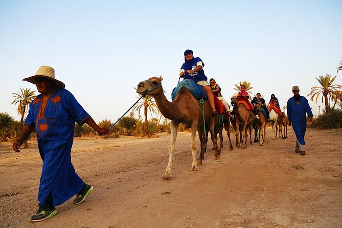 Sunset Tour & Dromedary Ride At Palm Grove Of Marrakech - Frequently Asked Questions