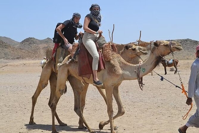 Super Safari Quad Jeep Camel Ride BBQ Dinner From Marsa Alam - Booking Information and Flexibility