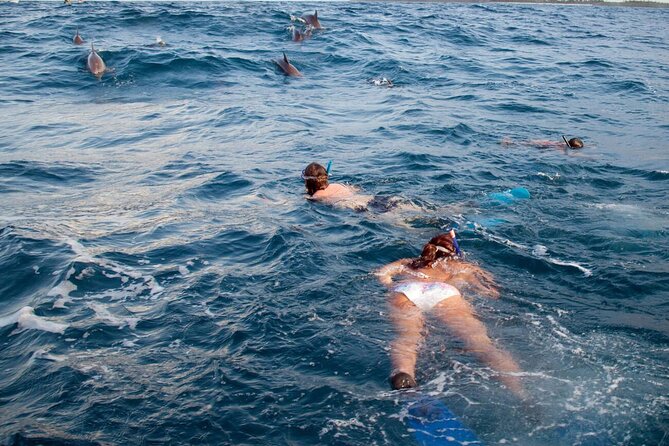 Swimming With Dolphin Private Speed Boat Experience in Hurghada - Directions