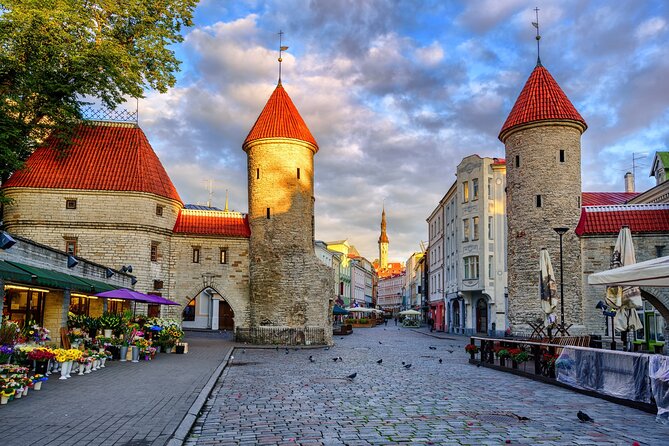 Tallinn Shore Excursion From Cruise Port - Booking Information