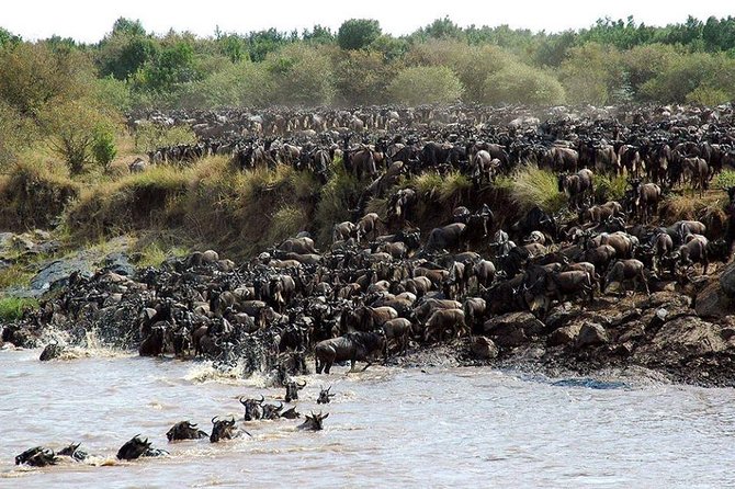 Tanzania Safari - 7 Days Cultural Safari. - Day 7: Farewell and Departure
