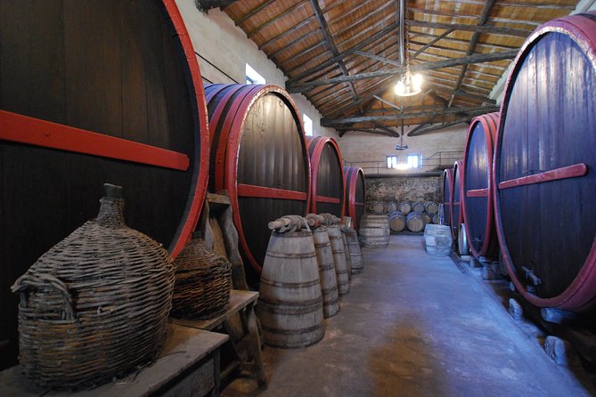 Taormina and Etna With Driver Wine Experience to Ask for - Customization and Booking Options