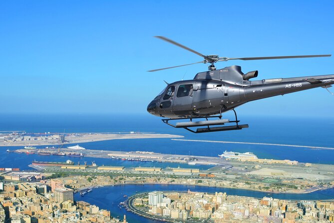 The 17-Minute Palm Helicopter Tour - Operator Information