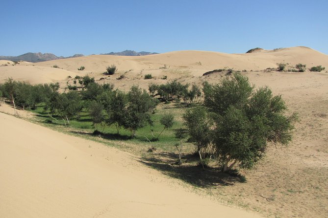 The Best of Central Mongolia Tour in 5 Days - Scenic Wonders and Landscapes