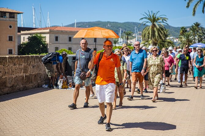 The Best of Palma: Walking Tour, Boat Trip and Cathedral Visit