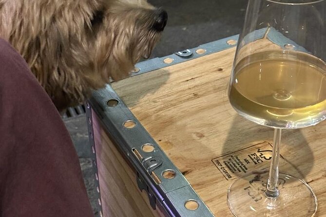 The Greatest Wine Tour of Rome - The Sum Up