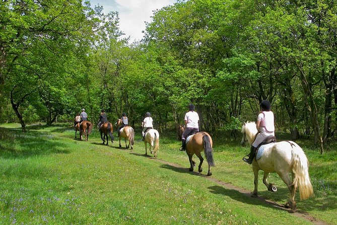 The Norcineria Art Cooking Lab With Lunch & Horseback Ride - The Sum Up