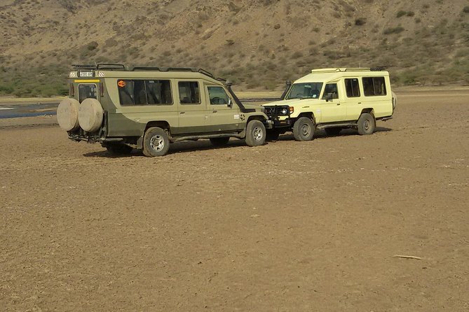 Three Days Safari Ngorongoro-Serengeti National Park Tented Camping - Wildlife Spotting Opportunities