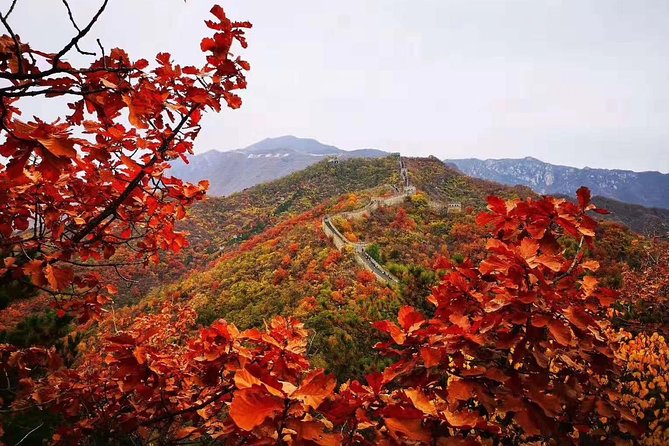 Tianjin Port To Beijing Private 2-Day Tour Package - Additional Information for Travelers