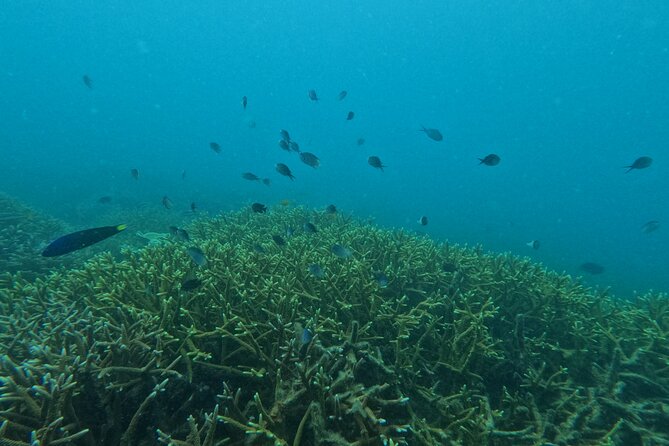 Tip of Borneo Kudat 3 Days Night Private Tour - Customer Support and Contact Information
