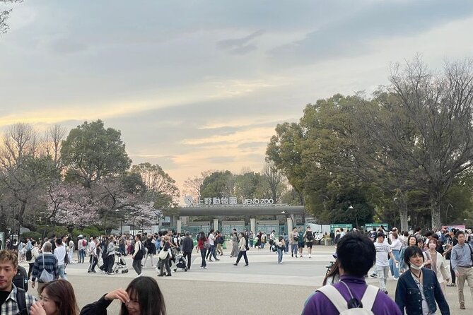 Tokyo City Private Tour up to 6 Persons - Weather Considerations