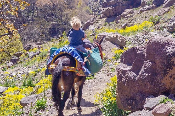 Toubkal Trek and Berber Villages Hike From Casablanca - Frequently Asked Questions