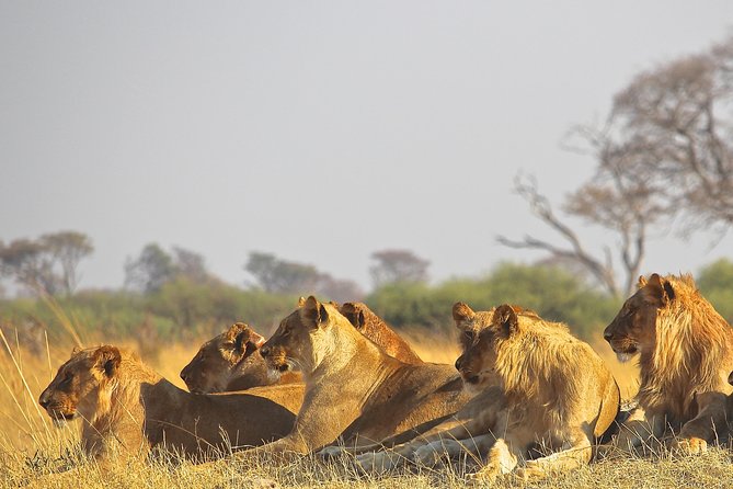 Tour Nairobi National Park - Booking and Reservation