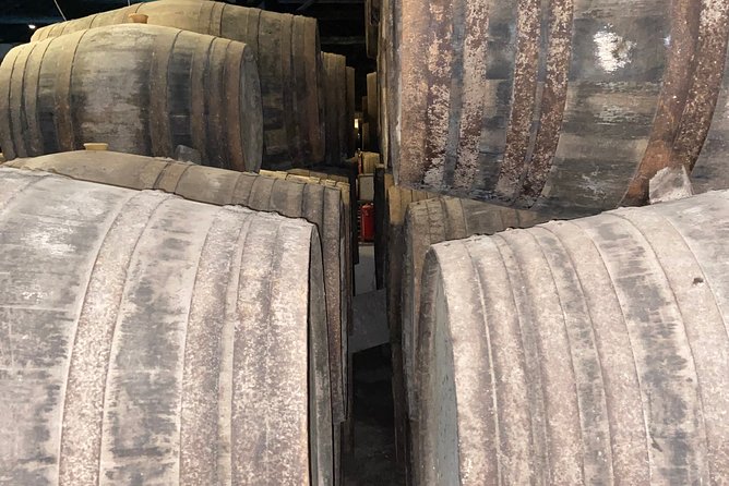 Tour Porto Wine Tasting and Private Boat Trip 8 Hours - Booking and Cancellation