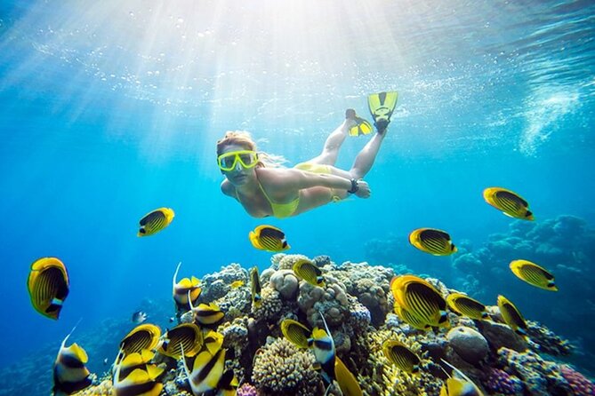 Tour to Abu Gallum National Park and Snorkeling at Blue Hole - Snorkeling at Blue Hole