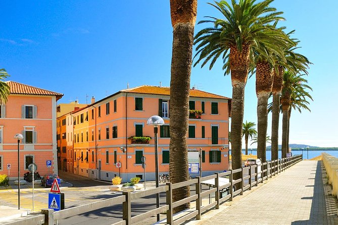 Transfer Fiumicino FCO Airport To/From Forte Dei Marmi Optional Orbetello Stop - Vehicle and Driver Information