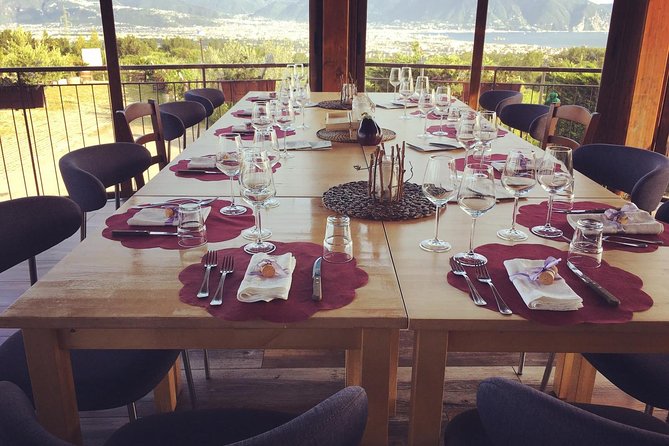 Transfer From Sorrento to Naples With Wine Tasting (1-8 Pax) - Additional Information