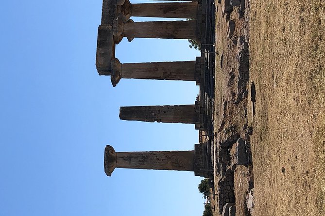 Transfers and Guided Tours in All Over Greece, Sightseeing and Private Hire!! - Customer Reviews