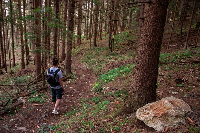 Trebevic Hiking Adventure From Sarajevo - Day Tour - Cancellation Policy