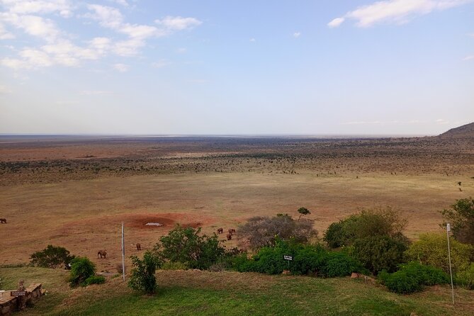 Tsavo East & West National Park 3 Days From Mombasa. - Additional Information