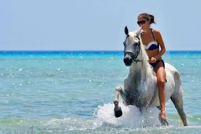 Two Hours Horse Riding With Transfer From Hurghada All Fees Paid - How to Reserve