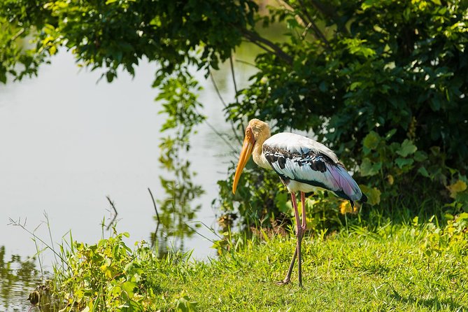 Ultimate Sri Lanka (17 Days) - Sightseeing Highlights