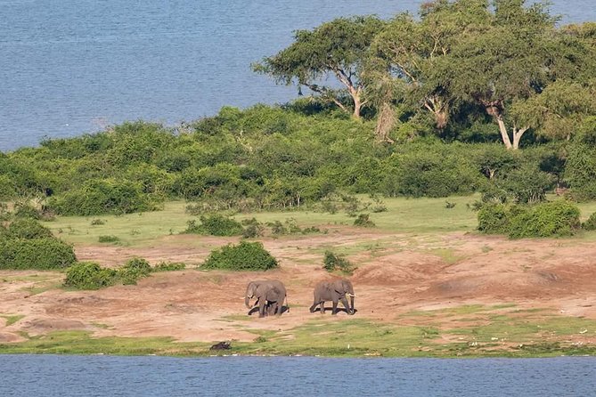 Ultimate Uganda Luxury Safari - 14 Days - Additional Information