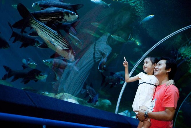 Underwater World at Pattaya Admission Ticket With Return Transfer - Miscellaneous Information and Surcharge