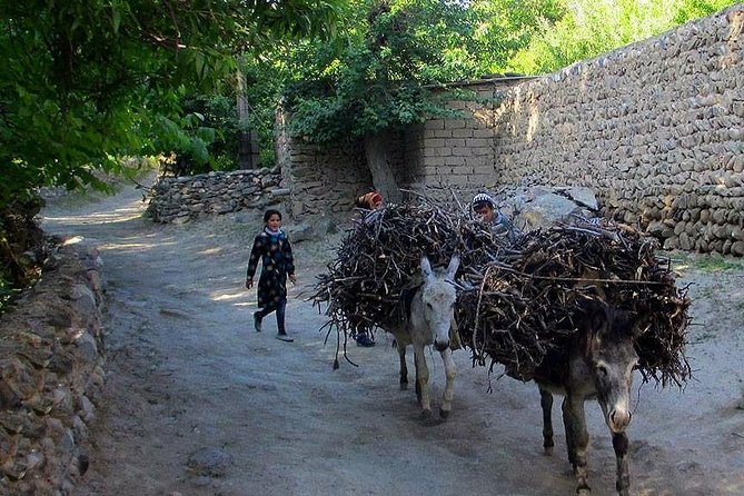 Undiscovered Uzbekistan: Ukhum Village From Samarkand - Route Information